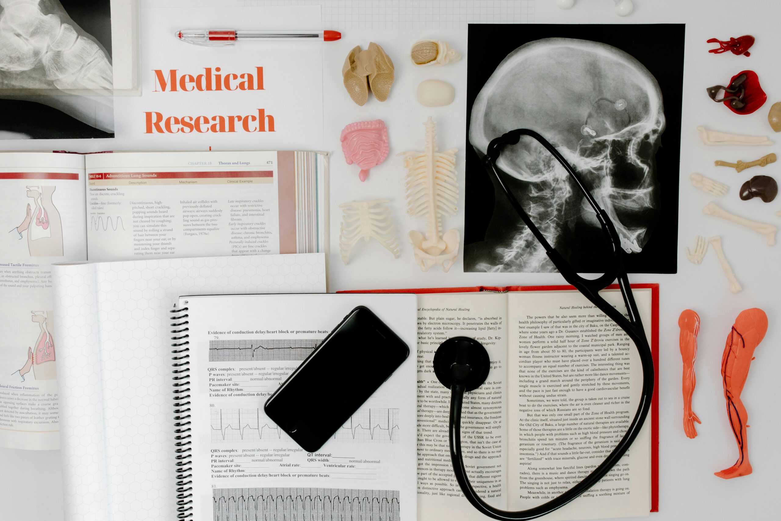 Kostenloses Stock Foto zu 3D-Modelle, anatomie, arzt