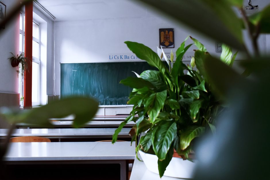 Grundschule Gymnasium BBS Lüneburg